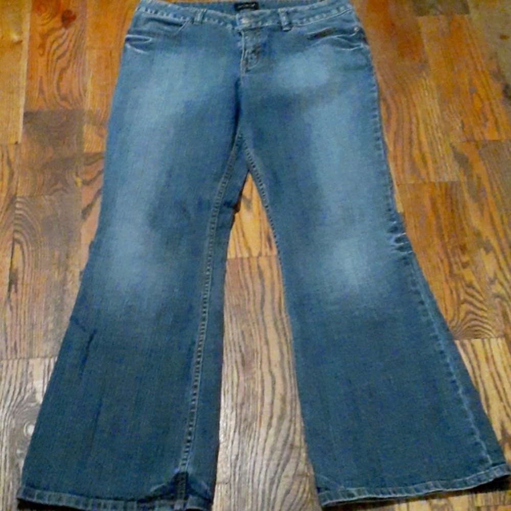 The Limited jeans/ WIDE LEG